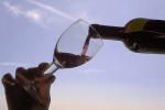 Дегустация вин на празднику Vinitaly